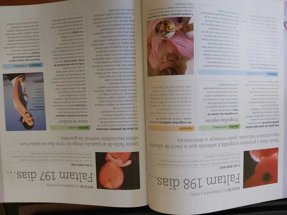 A Sua Gravidez Dia a Dia