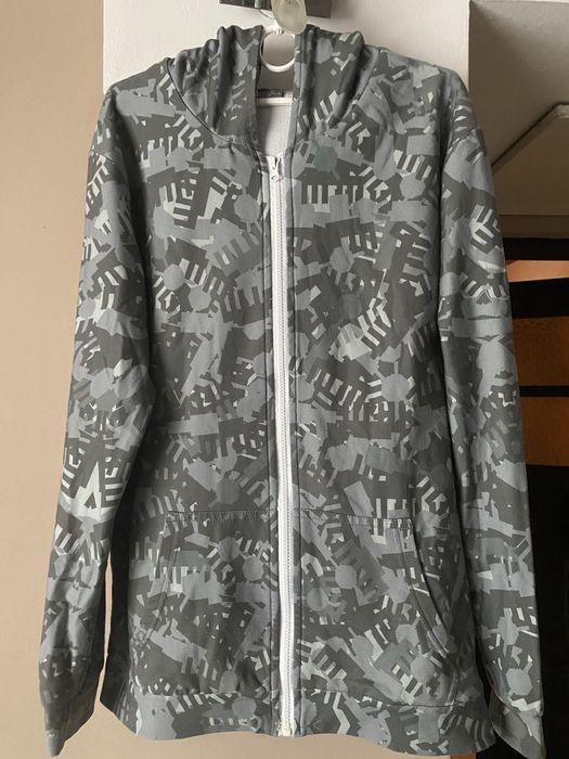 Szara bliza z kapturem