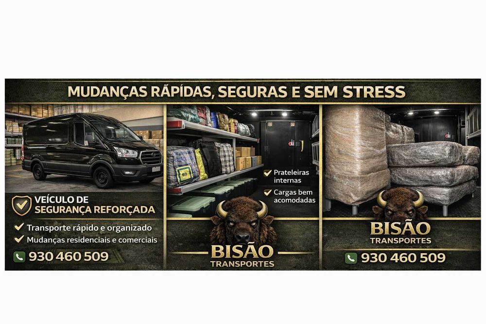 BISÃO – Frete e Mudanca