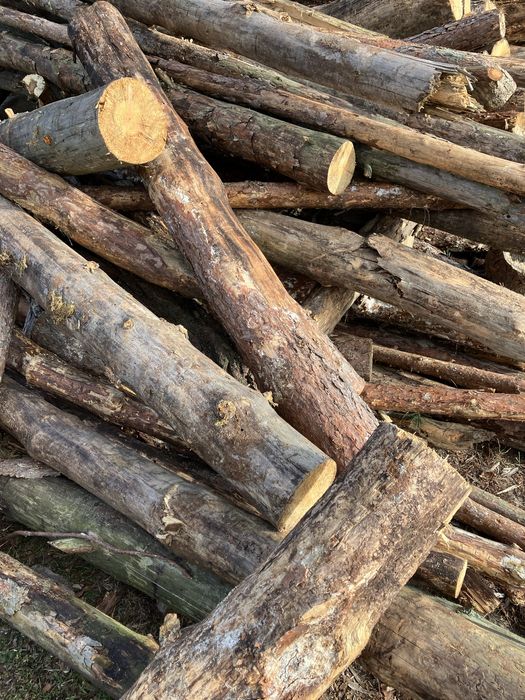 Drewno opałowe sosna