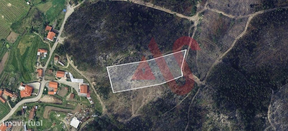 Forest Land Plot of 4800 m² in Silvares, Lousada