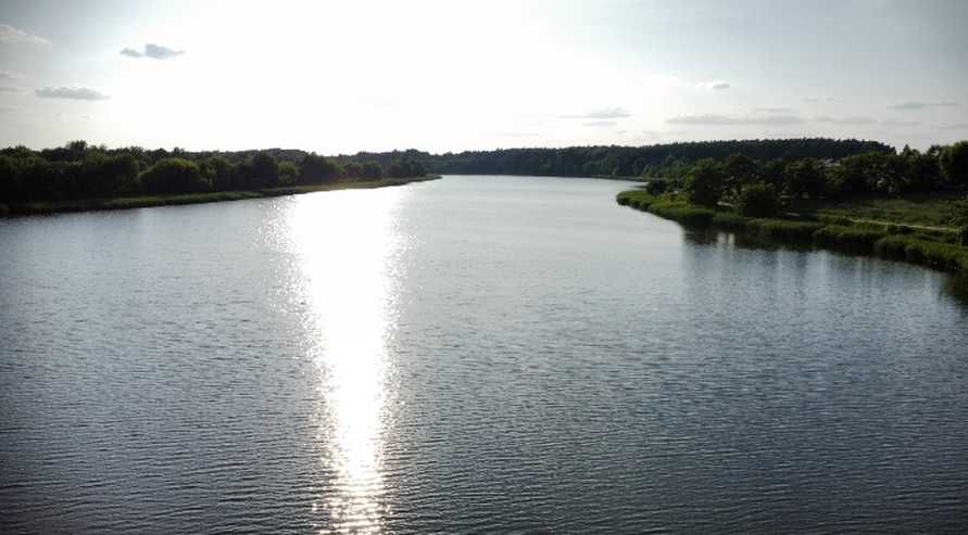 Zdjęcie 8