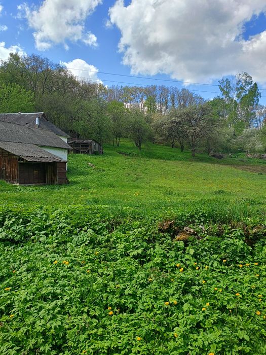 Продається будинок у селі