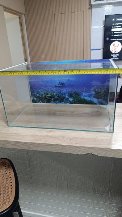 Aquario completo