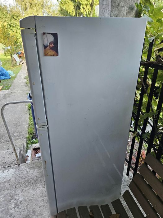 Lodówka z zamrażalką