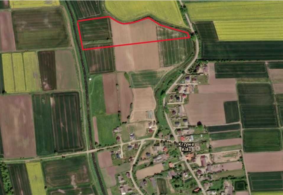 Działka orna Krzywe Koło - 3,30 ha - Widok 2