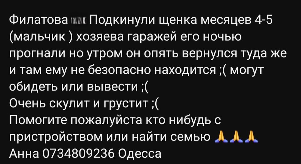 Отдам даром в добрые руки щенка