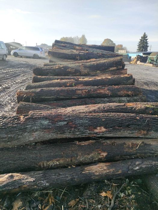 Kłoda DĄB s2b 240-250cm