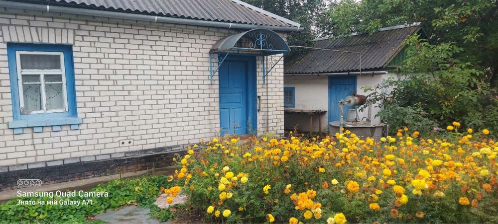 Продам будинок 70 км від Києва