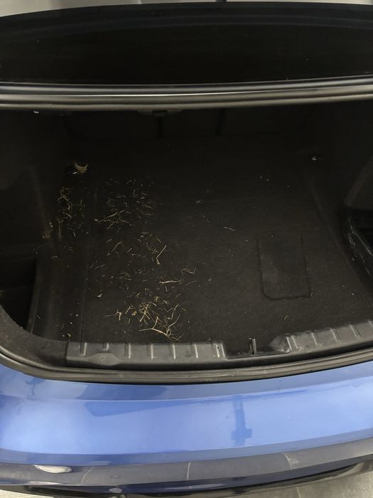 Pranie tapicerki samochodowej