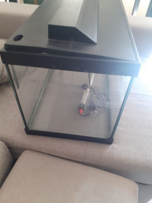 Um aquário usado