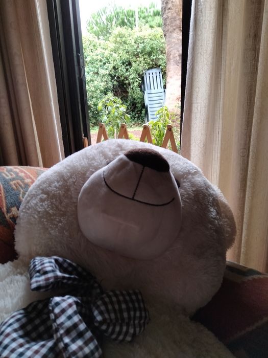 Urso peluche grande