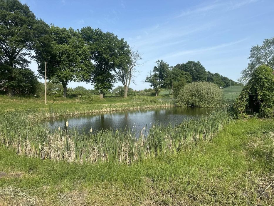 Siedlisko marzeń: 1,08 ha zarybionych stawów + 3399 m² budowlanej | 4 km od Sztumu
