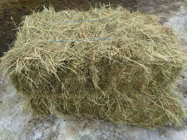 продам тюки сена