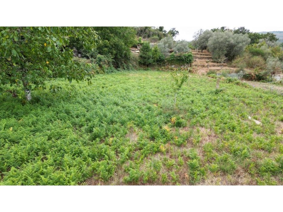 Terreno para venda em Gondomil