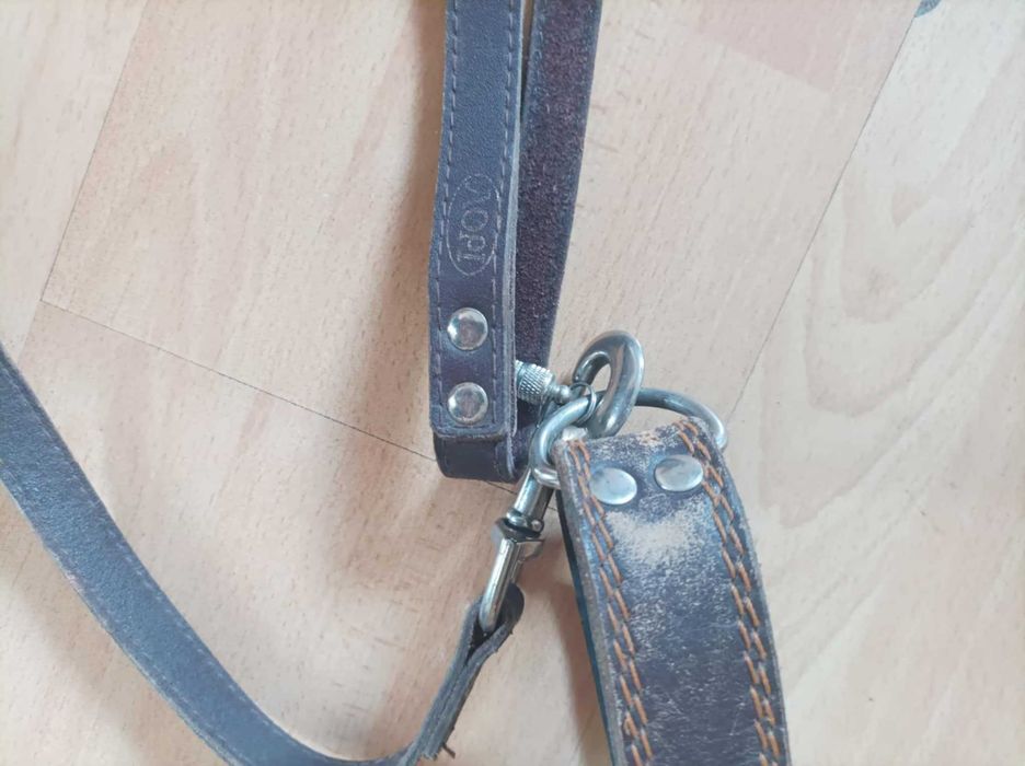 Ошейник,поводок,цепь.