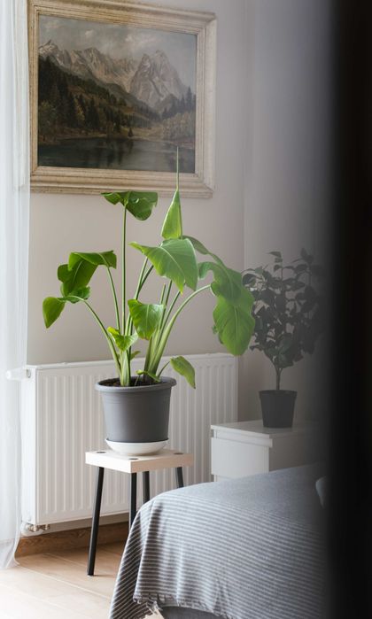 Apartament Premium z widokiem na góry dla 2 osób