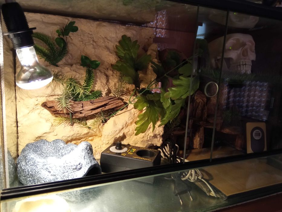 Terrarium dla gekona