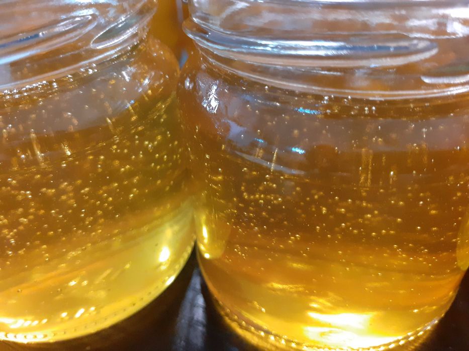 Miód wielokwiatowy z obszaru leśnego naturalny ekologiczny