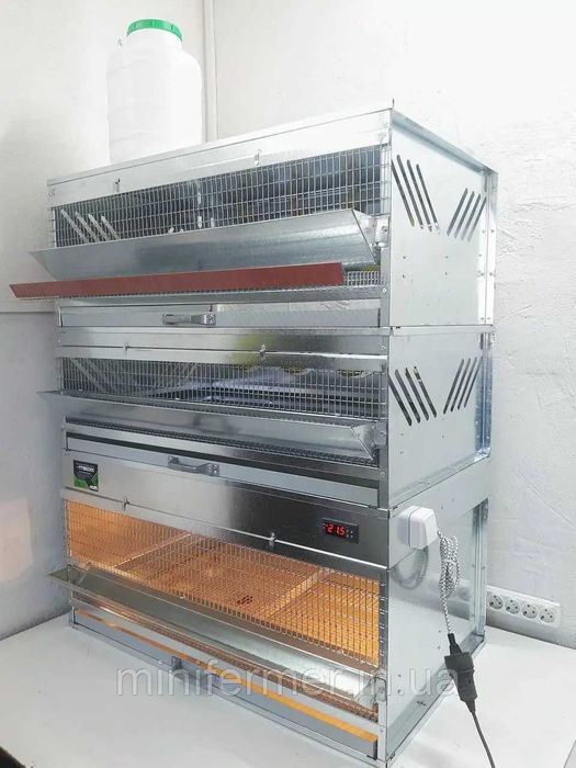 Кліткова батарея для перепелів, Брудер, Клітка для відгодівлі