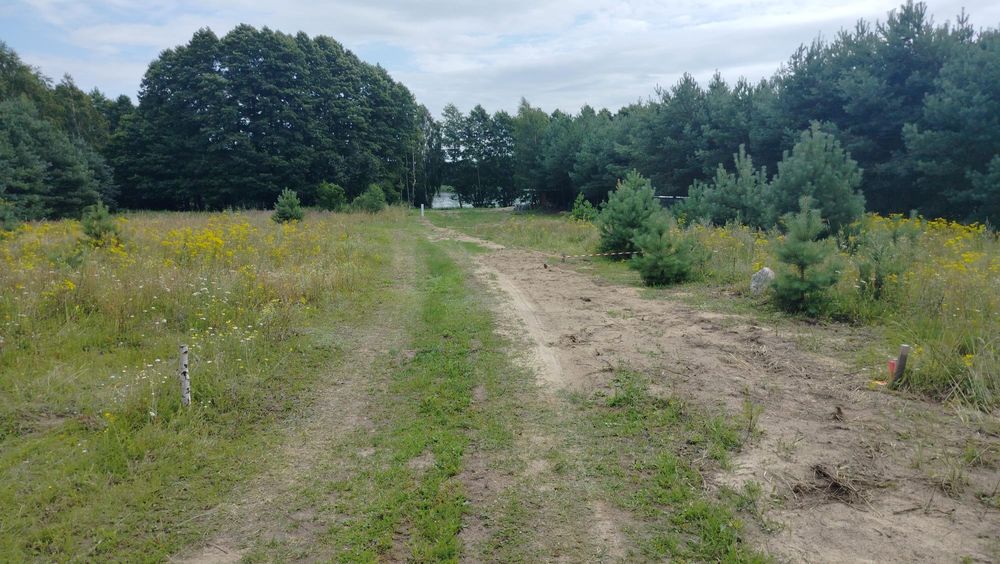 Działka budowlana przy jeziorze, Bory Tucholskie, WZ, media - Widok 3