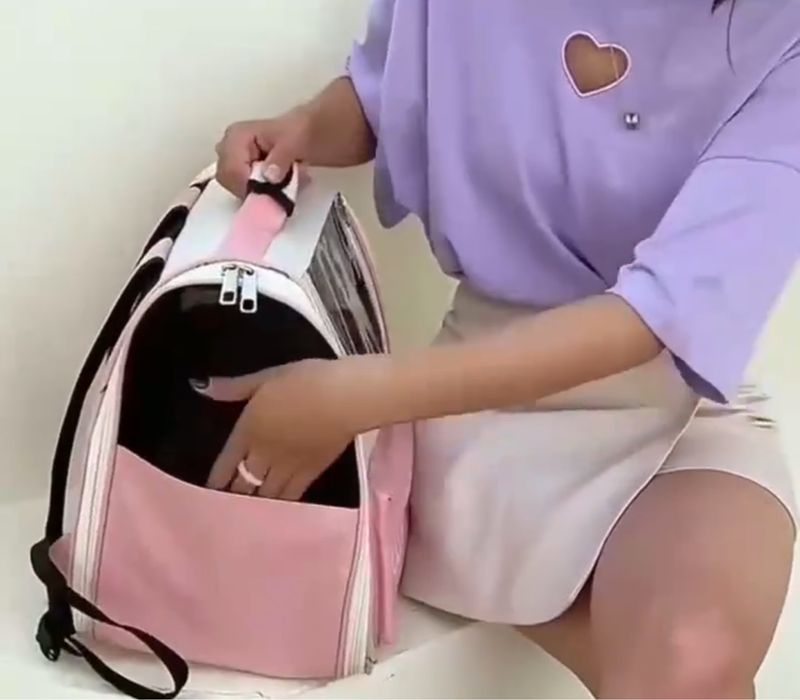 Переноска для кота