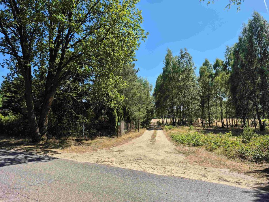 Działka budowlana + warunki zabud. + prąd 1000 m2 (Morgi - kol. Ldzań)