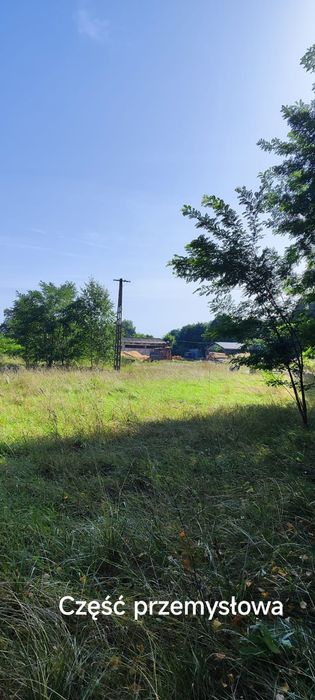 Nieruchomość przemysłowa - Widok 4