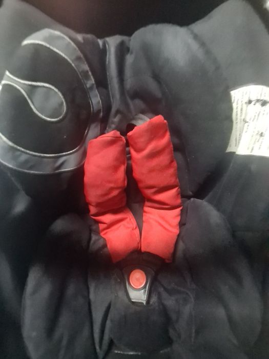 Ovo Baby Cock...Bebé...