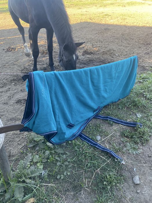 Selas para cavalos