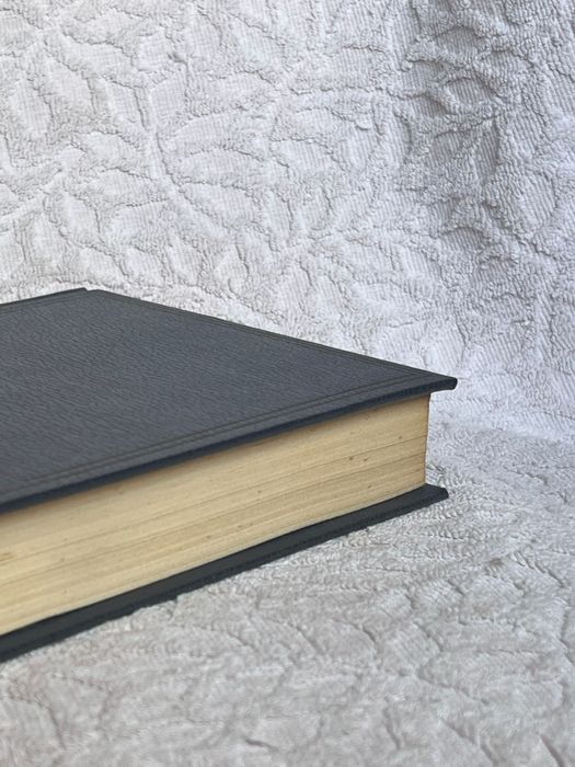 Livro “Clássicos da Língua Portuguesa - Uma Família Inglesa”