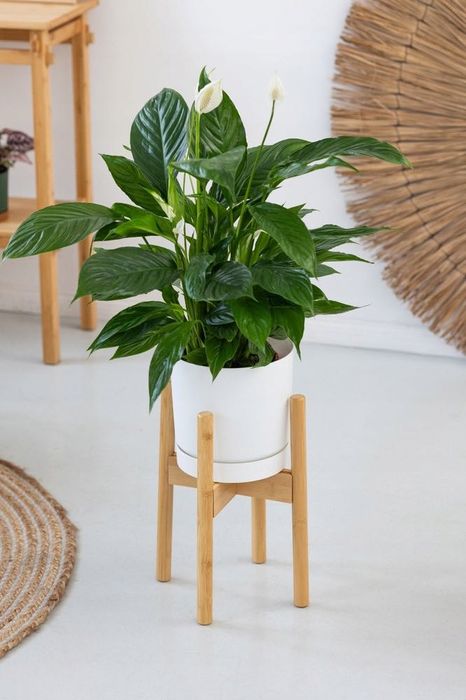 STOJAK NA KWIATY Bambusowy regulowany 35,7 CM – VILLAGO NEST