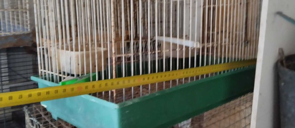Varias gaiolas de aves