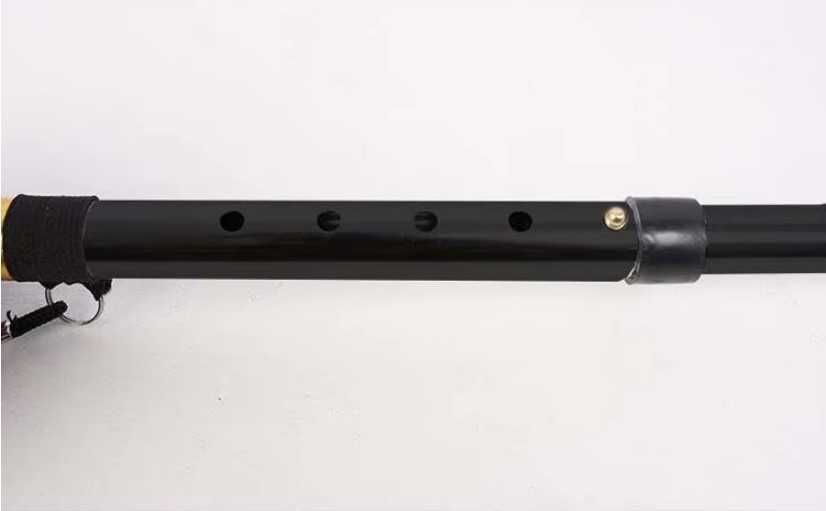 Тростина, палиця для ходьби, трость