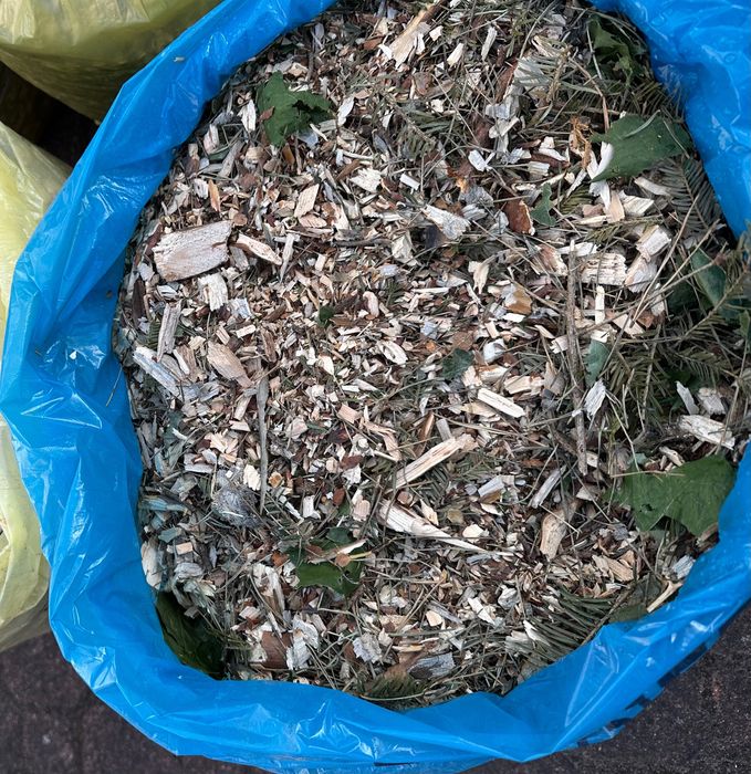 Zrębka z drzew leśnych oraz z wierzby energetycznej, ściółka, kora