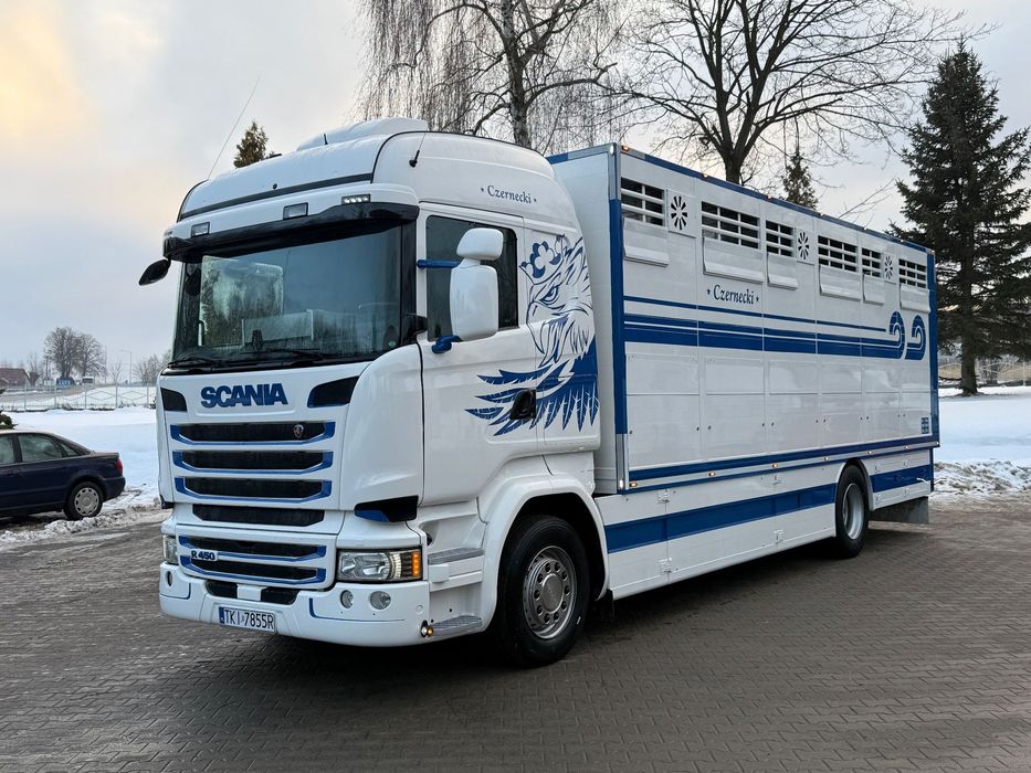 Scania R450  Scania R450 do przewozu zwierząt/bydla/do Żywca/nowa zabudowa