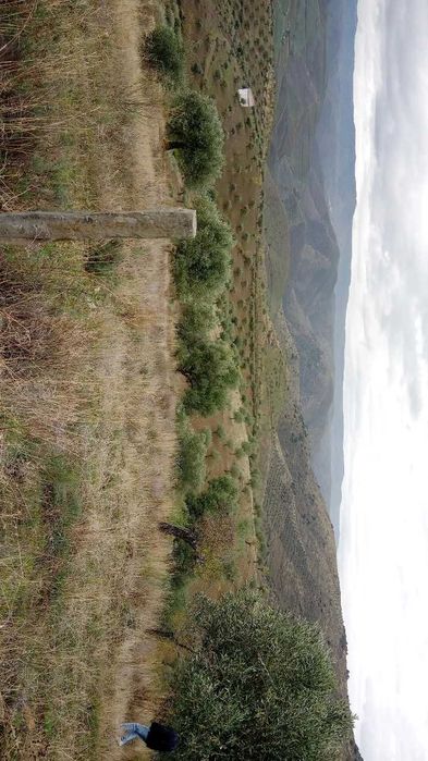 Terreno 15000m2 (1,5h)