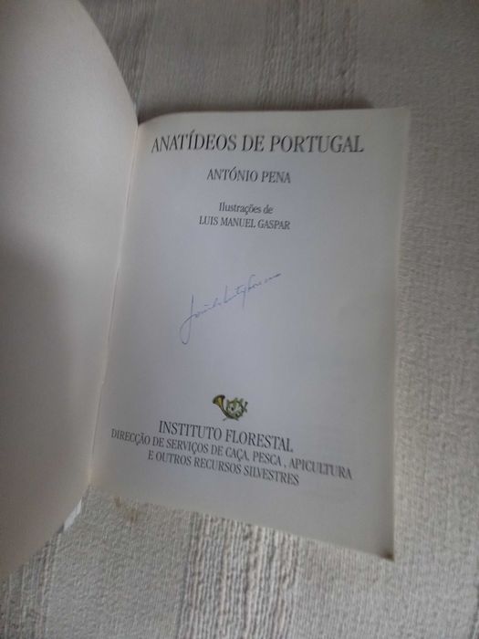 Anatídeos de Portugal espécies de patos em Portugal