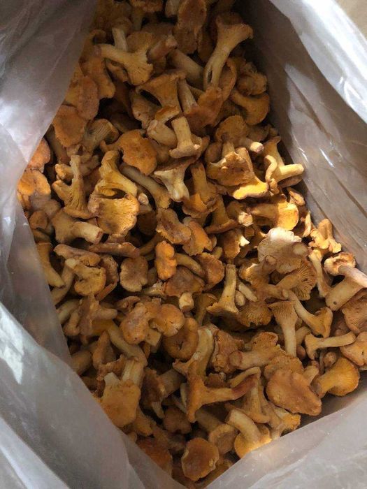 Kurki mrożone, organiczne