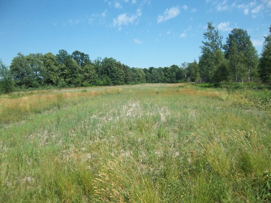 Продам приватизовану земельну ділянку