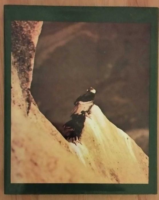 No Continente Americano (1979)