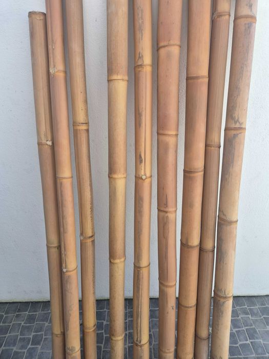 Canas de bambu para decoração