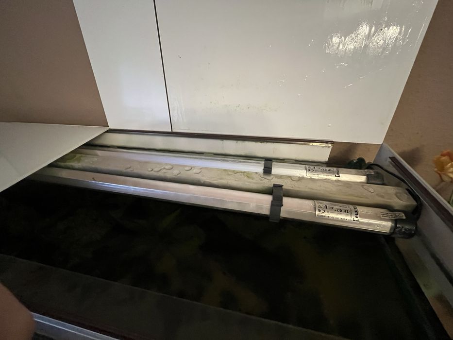 Akwarium zestaw 180l z rybkami