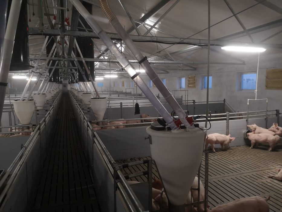 Deska wygrodzeniowa 250x35x6m Przegroda PCV, panel wygrodzeniowy