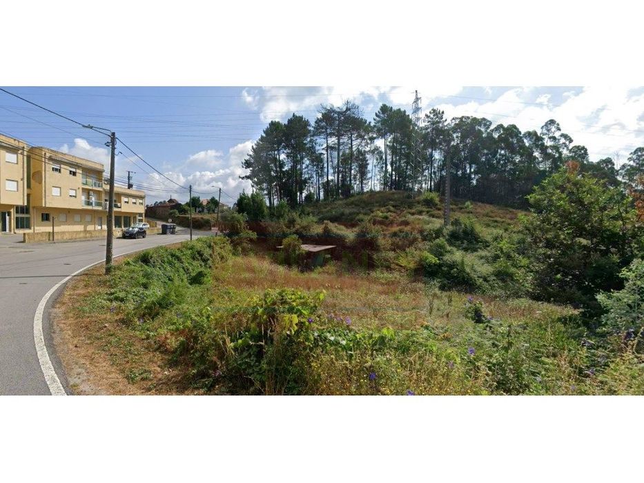 Terreno - Canedo (Mosteirô)