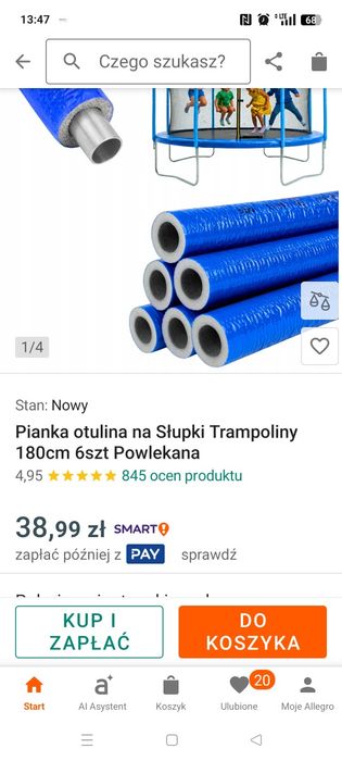 Trampolina ogrodowa 305