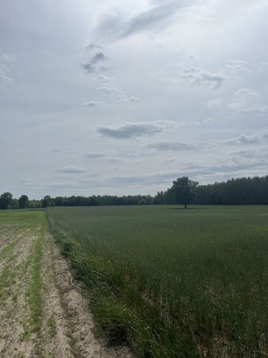 Działki budowlane 1800 m² | Mieczysławka | gm. Lubartów - View 6