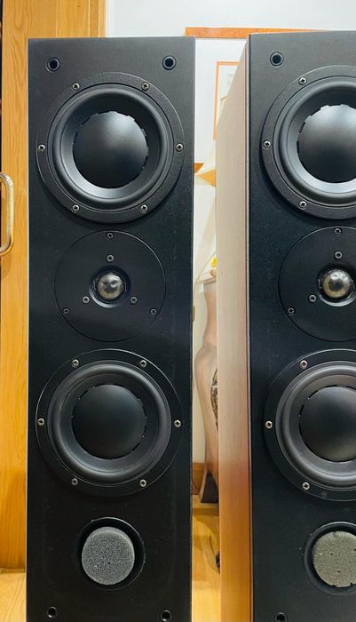 Colunas Dynaudio Audience 122