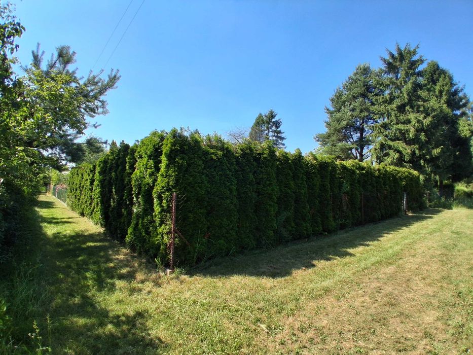 Działka ROD - Czeladź - Piaski, 304 m², spokojna okolica, pełna prywatność - Widok 6