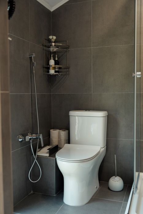 Шале,оренда котеджа в карпатах,чан, будинок на горі